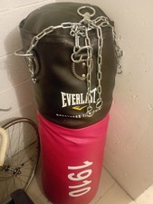 sacco boxe 35kg everlast da appendere 