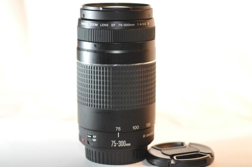 Obiettivo canon 300mm - obiettivo, 75-300mm