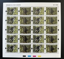 Madagascar Madagaskar 2024 /