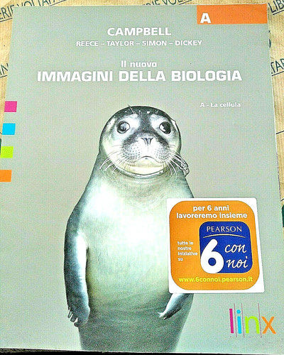 Nuovo immagini della - nuovo,
