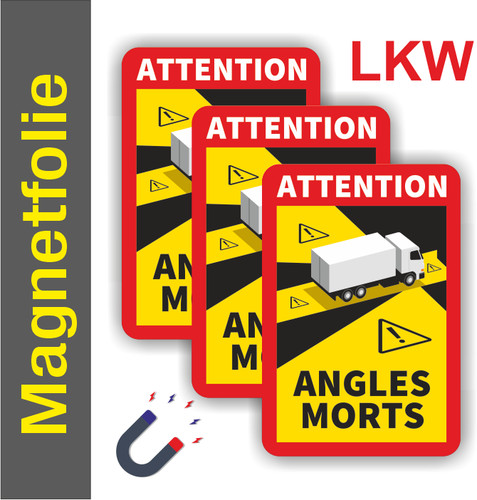 Angles morts pellicola - morts,