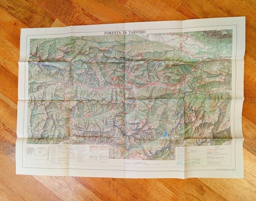 Carta geografica foresta di - carta, geografica:
