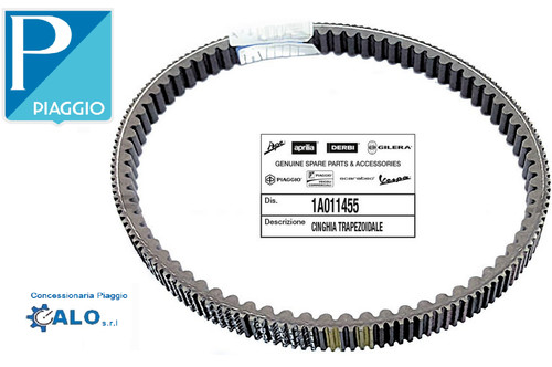 1a011455 cinghia trasmissione - 1a011455,