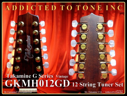 Takamine serie gkmh012gd set - g,
