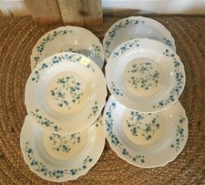 ARCOPAL 6 piatti fondi Veronica Myosotis - vintage design France anni 70