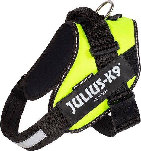 Julius pettorina idc - julius, k9