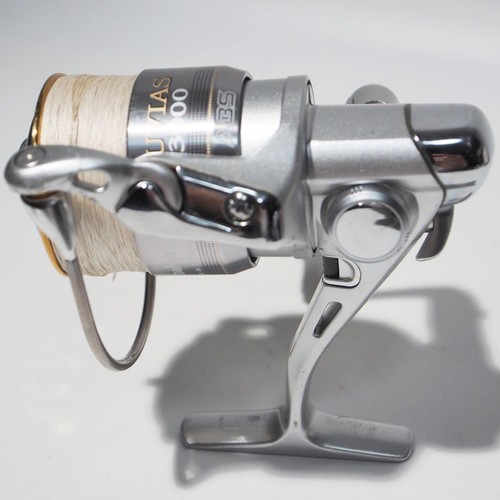 Mulinello spinning daiwa - spinning,