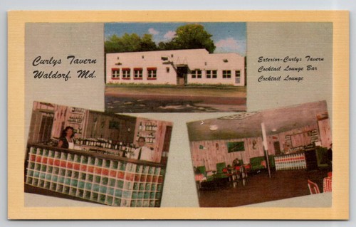 Cartolina curlys tavern - cartolina,