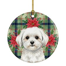 Poinsettas di Natale maltese