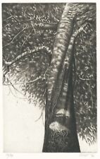 DUGO FRANCO   Cartella  d'Artista "GRANDE FAGGIO" 1998 - ARTE CLUB PESARO  