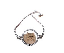 Persian Cat Pet Silver Colour