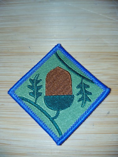 Current scouting explorer - uk,