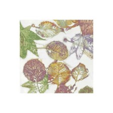 Stampa su Tela su Carta Poster