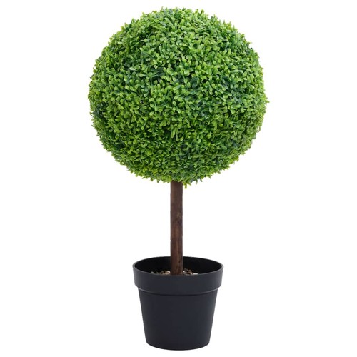 Vidaxl pianta bosso - pianta,