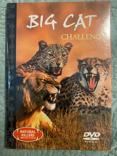 Big cat challenge - big,