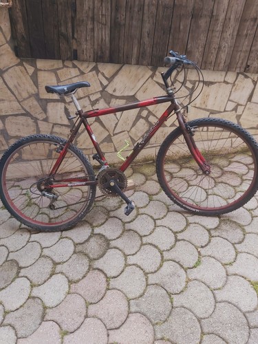 Bici mtb girardengo vintage - mtb,