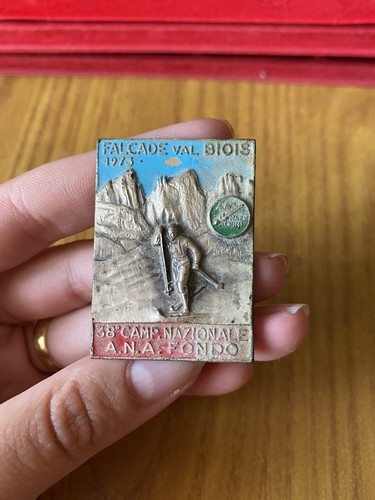 Spilla pins distintivo - distintivo, alpini