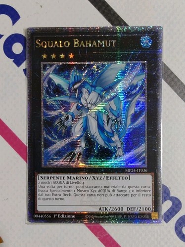 Squalo bahamut - bahamut, (bahamut