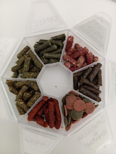 Pellet alta qualità 7 - ,