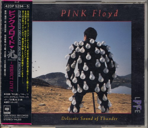 Pink floyd delicate sound - delicate,