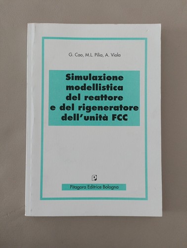 Simulazione modellistica del - modellistica,
