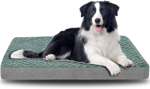 Cuccia per cani - cuccia,