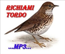 Richiamo per uccelli - , in