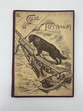 Terranova cane da - terranova,