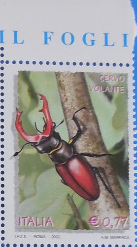Francobollo cervo volante - cervo,