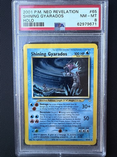Shining gyarados neo - shining,
