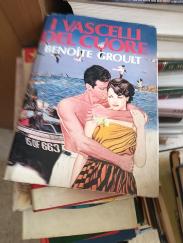 Vascelli del cuore romanzo - cuore.,