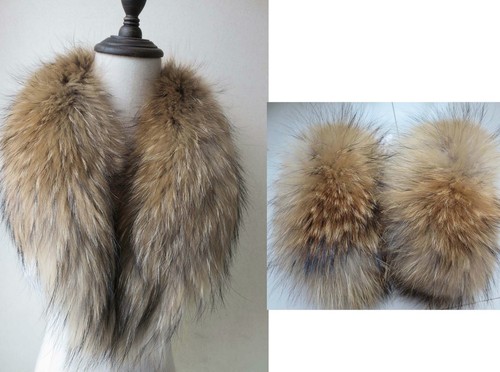 Best really raccoon pelliccia - raccoon,