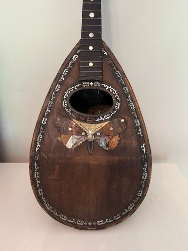 Bellissimo mandolino antico