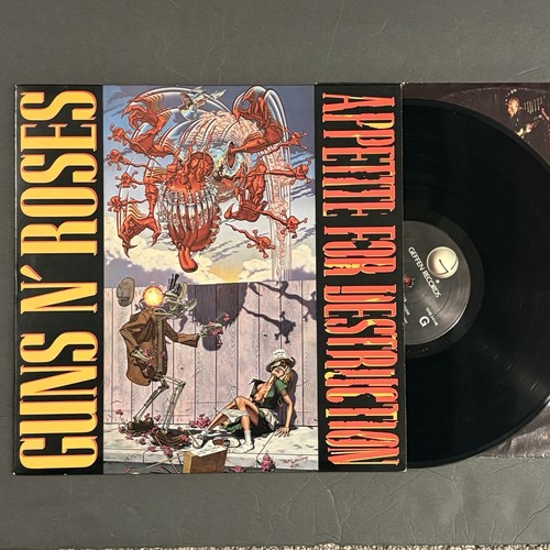 Guns roses appetite for - guns,