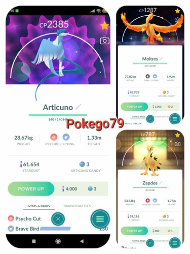 Pokemon shiny galarian moltres - pokemon,