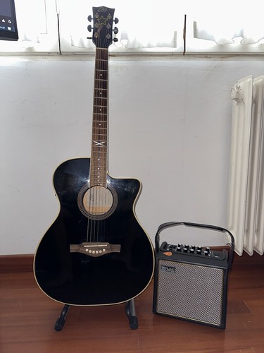 Chitarra eko ntx d100ce - eko, +