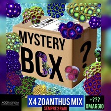 ✅NEW 2023 SPECIALE BOX