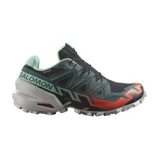 Salomon Speedcross 6 gtx woman