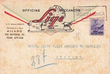 A6625) TESTATINA MILANO