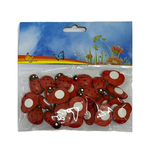 Pezzi coccinella legno - in,