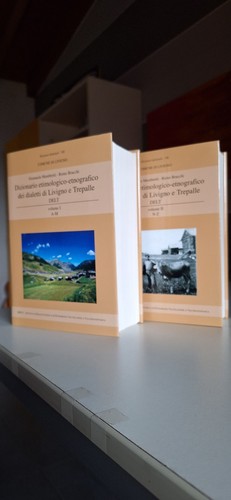 dizionario