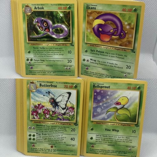 Set completo carte jungle - set,