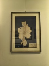 Andrea Raccagni collage su