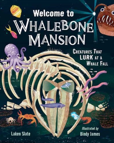 Welcome whalebone mansion - to,