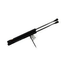 Coppia Pistoni Portellone