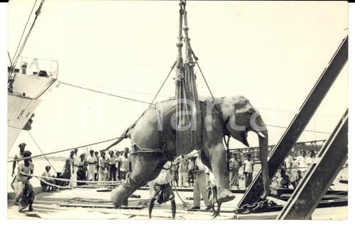 1939 chittagong - chittagong, (bangladesh)