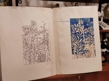 bozzetto schizzo acquarello sebastiano milluzzo vegetazione