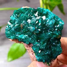 94G dioptasi verde naturale pietra preziosa smerandina grappolo esemplare minerale