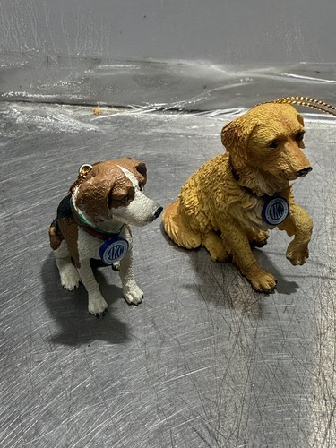 American kennel club - kennel,