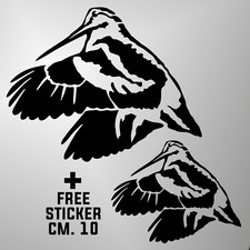 adesivo prespaziato beccaccia